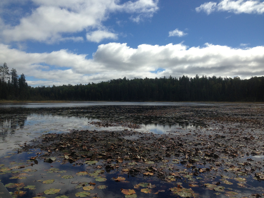 Pagami Creek during low water in the Weasel Lake PMA of the BWCA